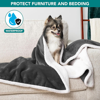 Waterproof Dog Blanket for Small Medium Dog, Pet Puppy Blanket Couch Cover Protection, Sherpa Fleece Cat Blanket Washable Throw Couch Sofa Bed Furniture Protector Reversible Soft 29X40 Charcoal